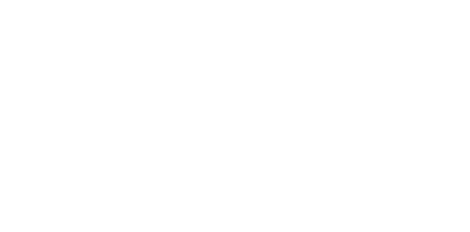 Service national d’évaluation infirmière